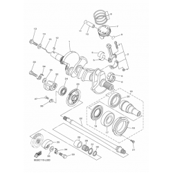 Коленвал, поршни (Crankshaft piston)