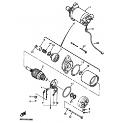 Электростартер  (Starting motor)