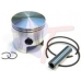 Поршень (стд) в комплекте | RTT-361-00004-0 | PISTON&CLIP&PIN&RING (0.50MM O/S)