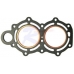 Прокладка головки цилиндров | RTT-3B2-01005-0 | GASKET, CYLINDER HEAD 1