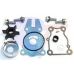 Ремкомплект помпы  | RTT-6BG-W0078-00 | WATER PUMP REPAIR KIT