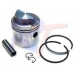 Поршень (стд) в комплекте  | RTT-6E3-11631-KIT | PISTON&CLIP&PIN&RING (STD)