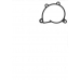 Yamaha YZF R6. Прокладка помпы 2C0-12428-01-00				 YAMAHA